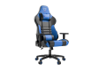 Furgle Gaming Chair F041 - Black/Blue